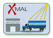 Figura 2