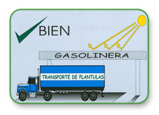 Figura 2