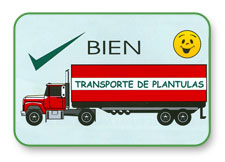 Figura 4